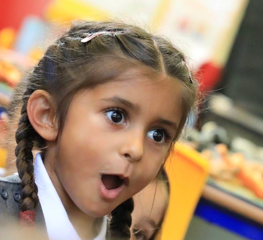 screenshot 2025 05 03 9.52.02 am